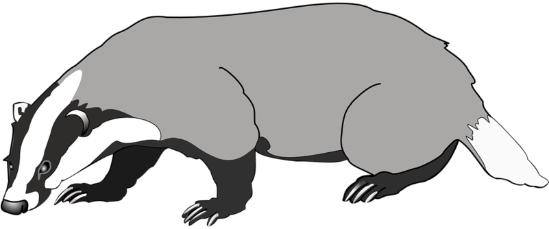 Gray Moving Badger Clipart Transparent PNG