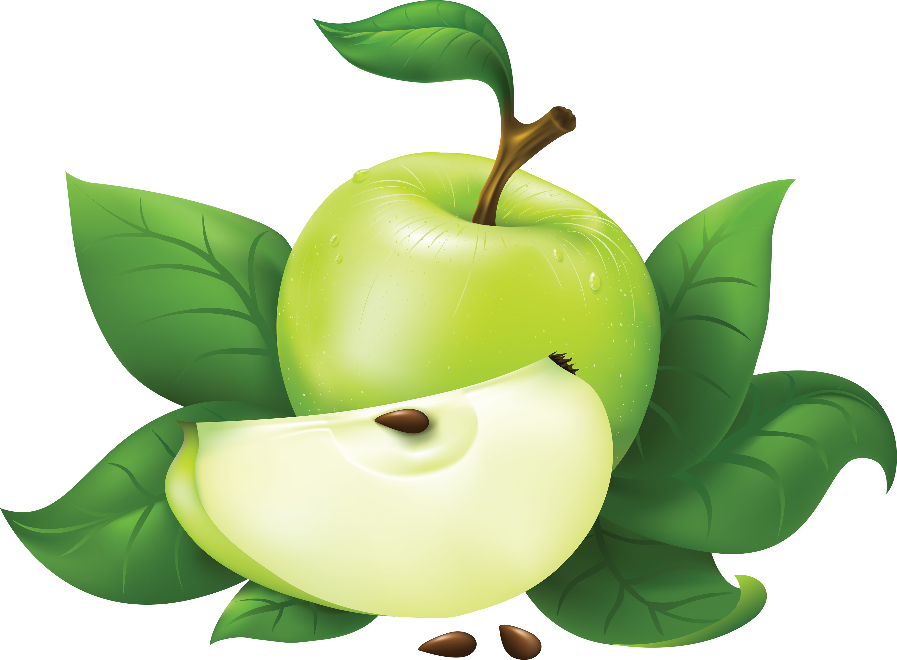 Green PNG transparente de la fruta de manzana