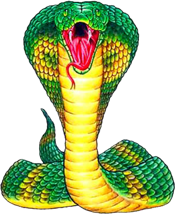 Green Cobra Transparent PNG