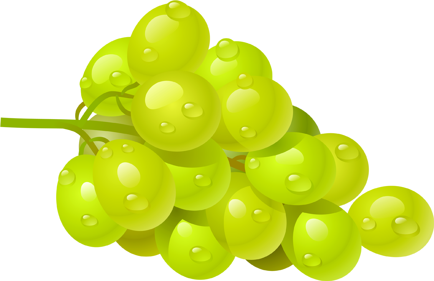 Green Grapes Clipart PNG