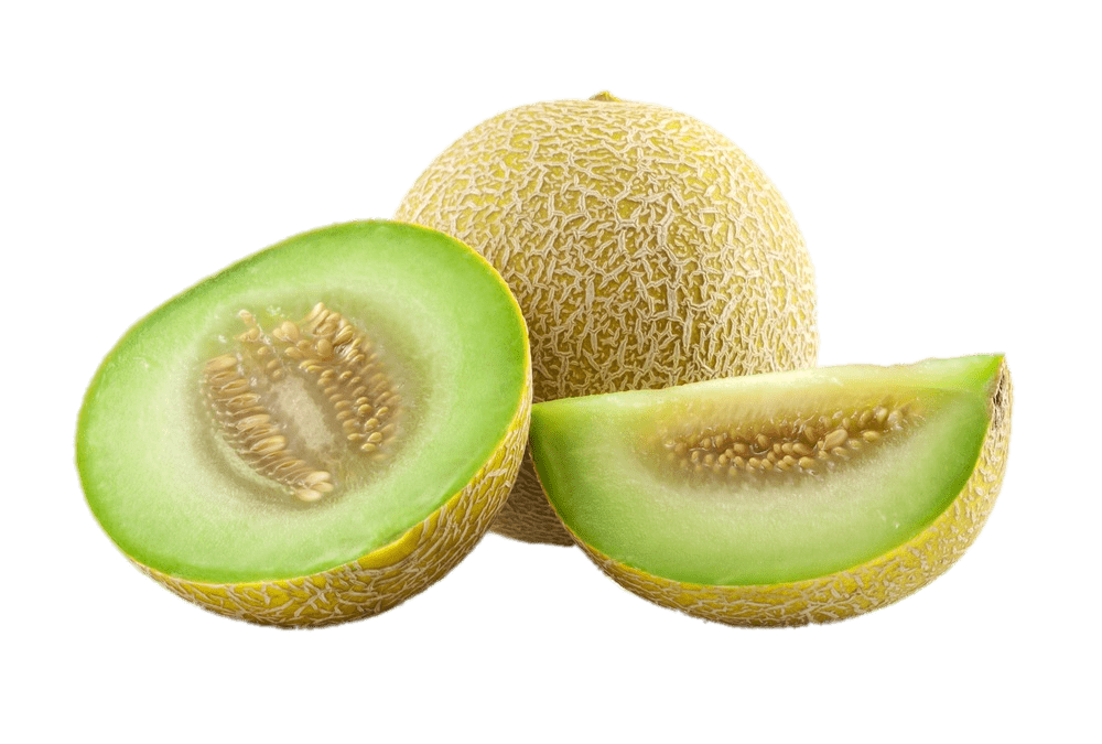 Green Melon Slices Transparent PNG