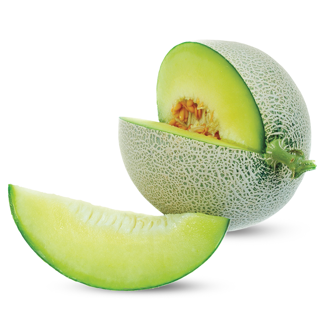 Green Tasty Melon PNG