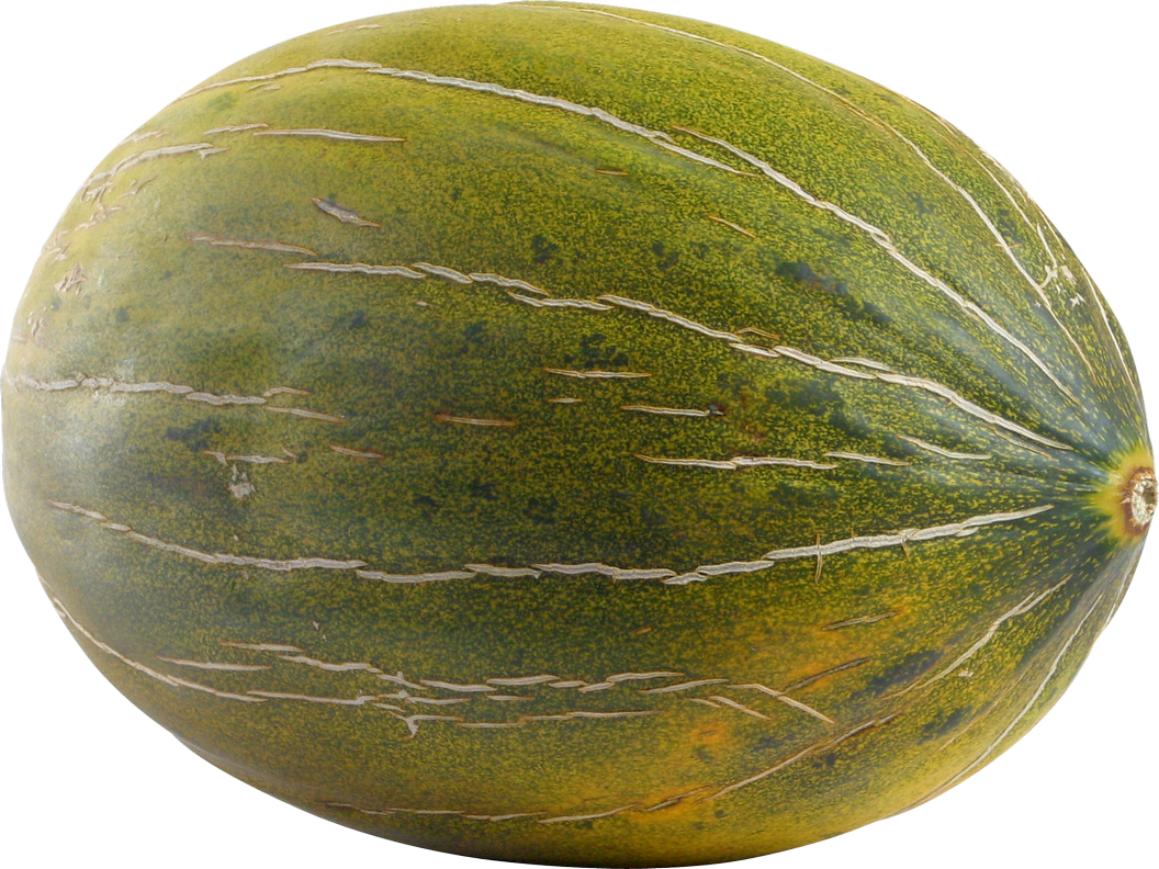 Green Watermelon PNG