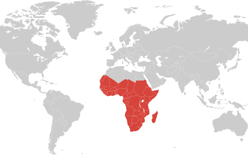Grey Africa Map Transparent Background