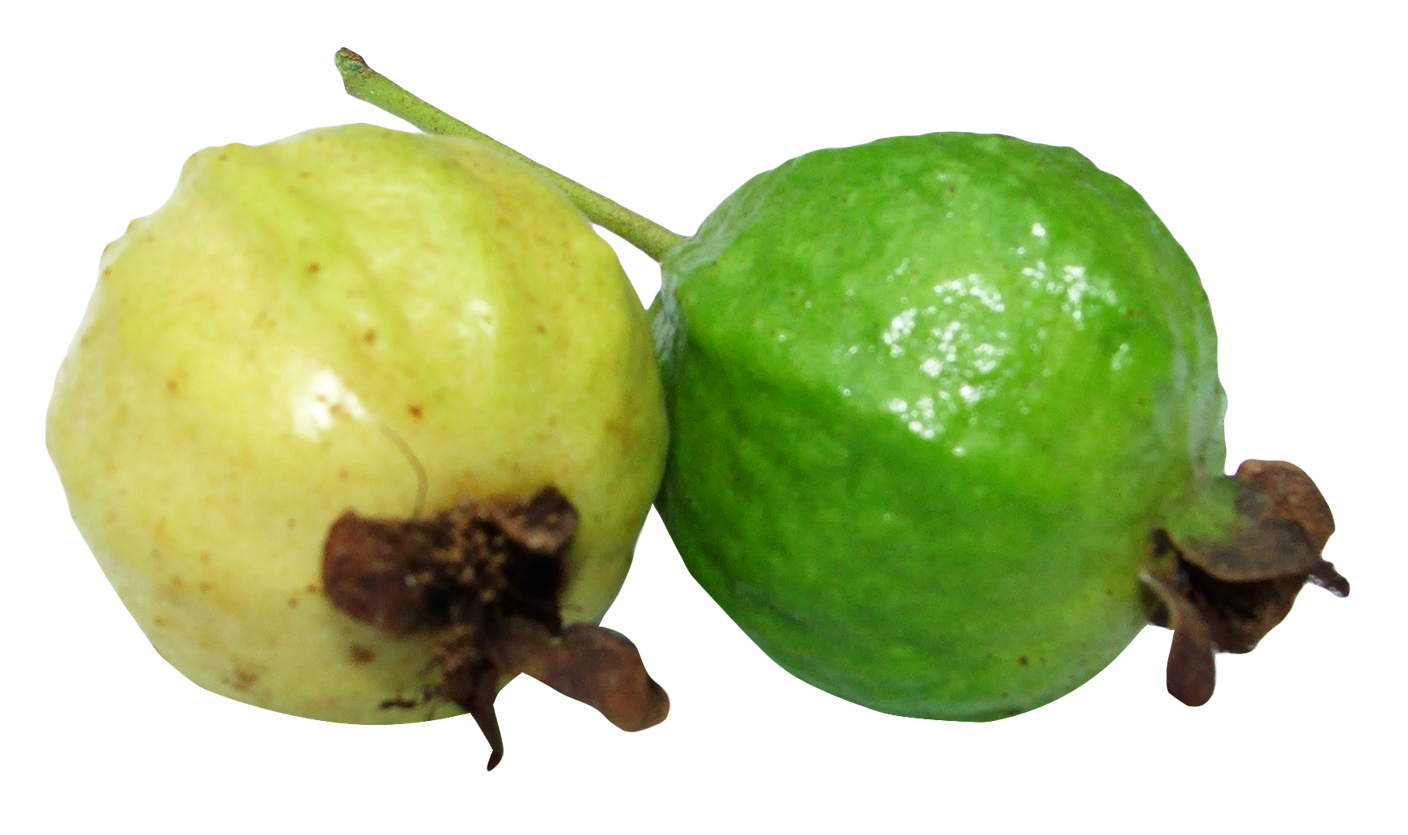 Guava Color PNG