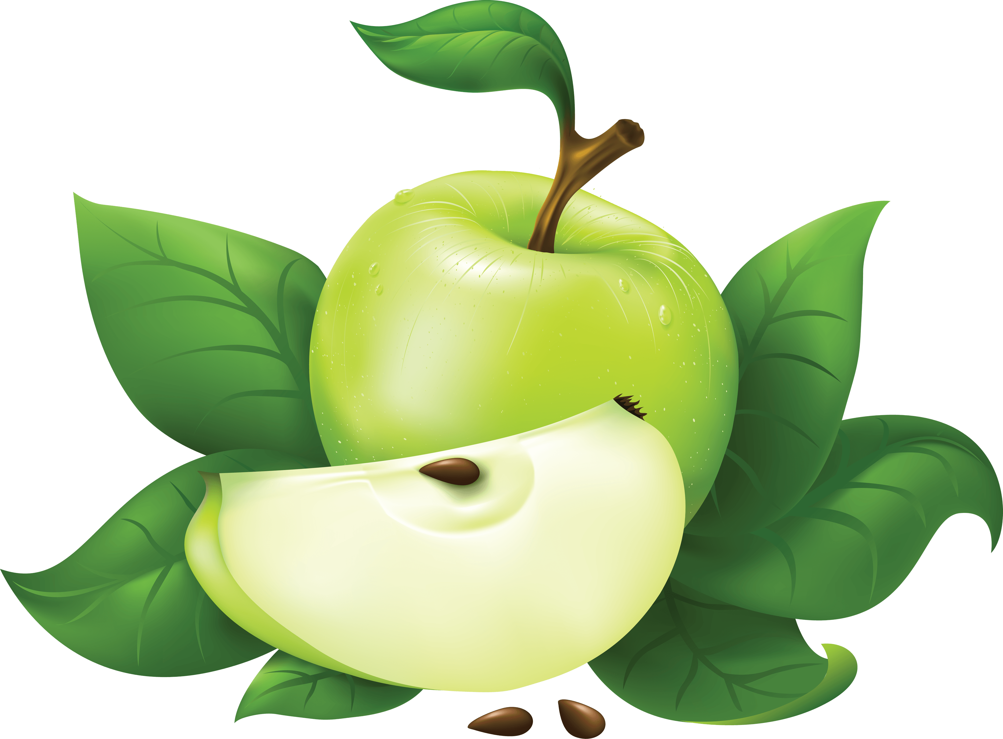 Half Green Apple Leaves PNG | PNG Play