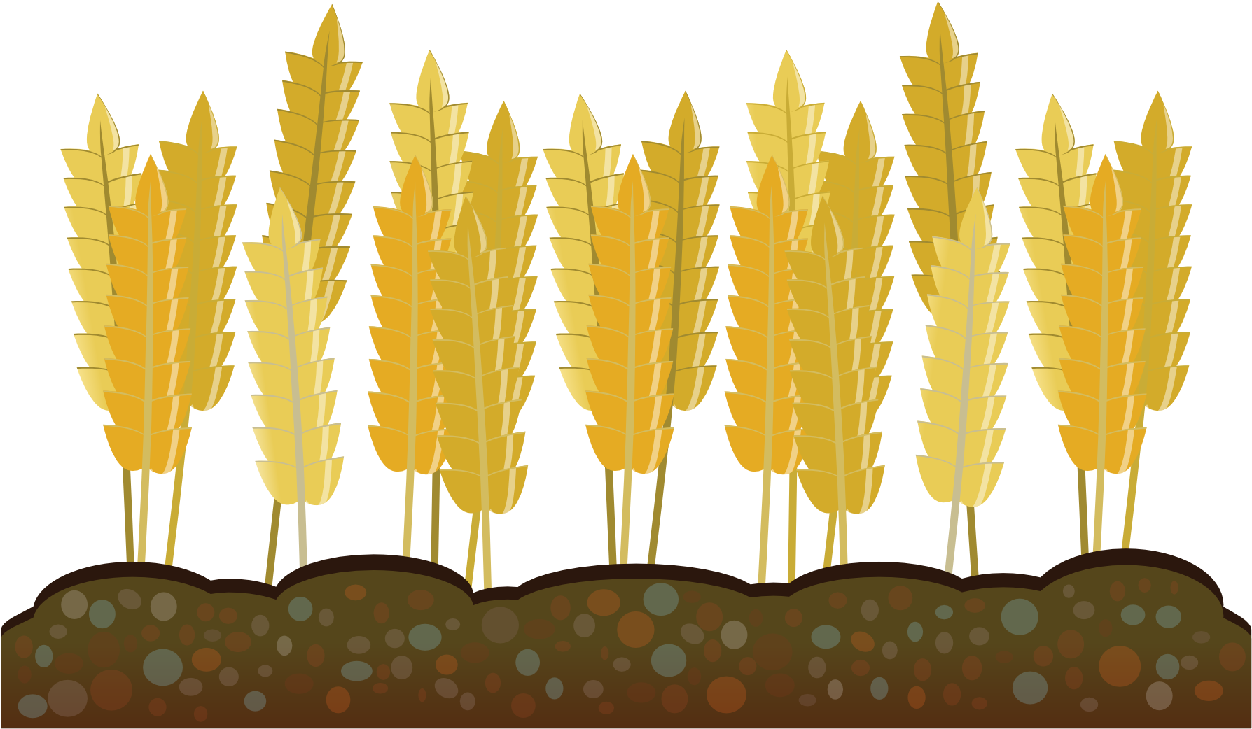Harvest Agriculture PNG