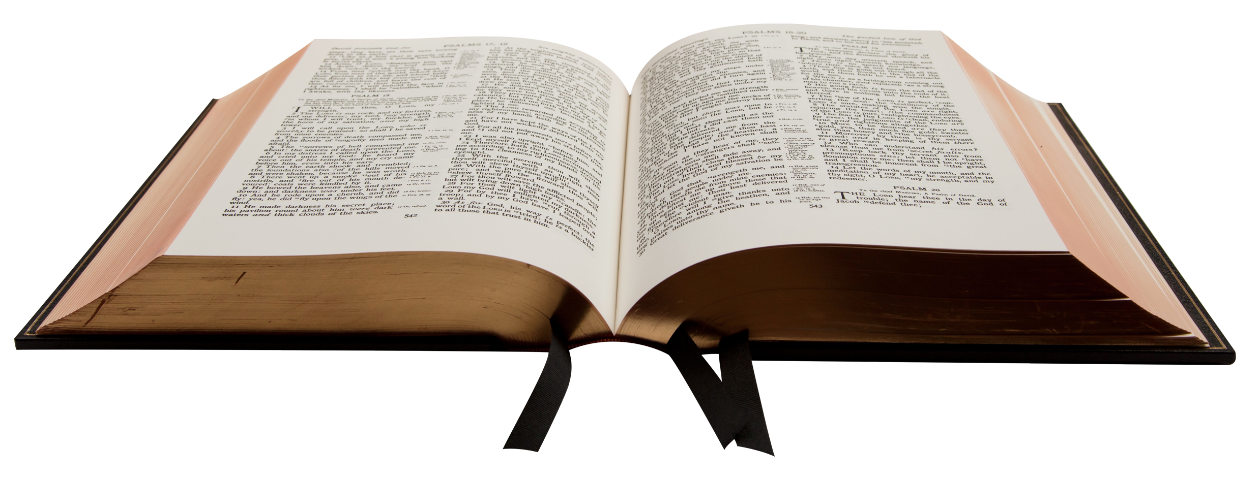 Holy Bible Background PNG Image