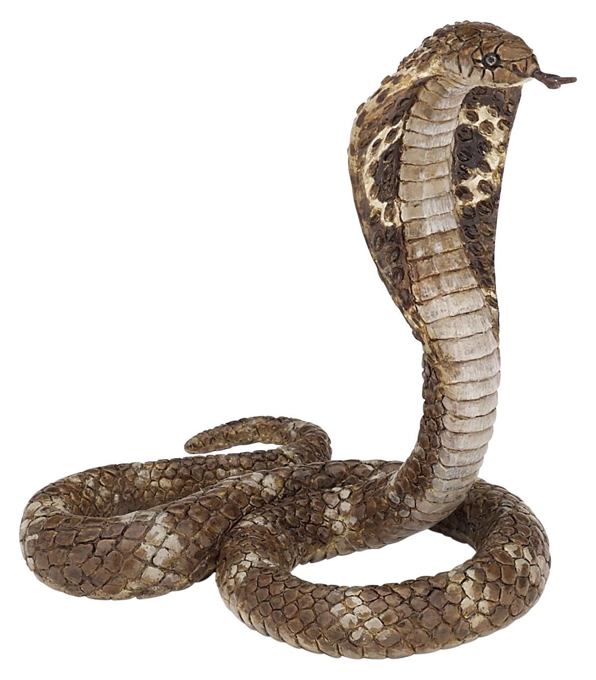 King Cobra Snake Transparent PNG