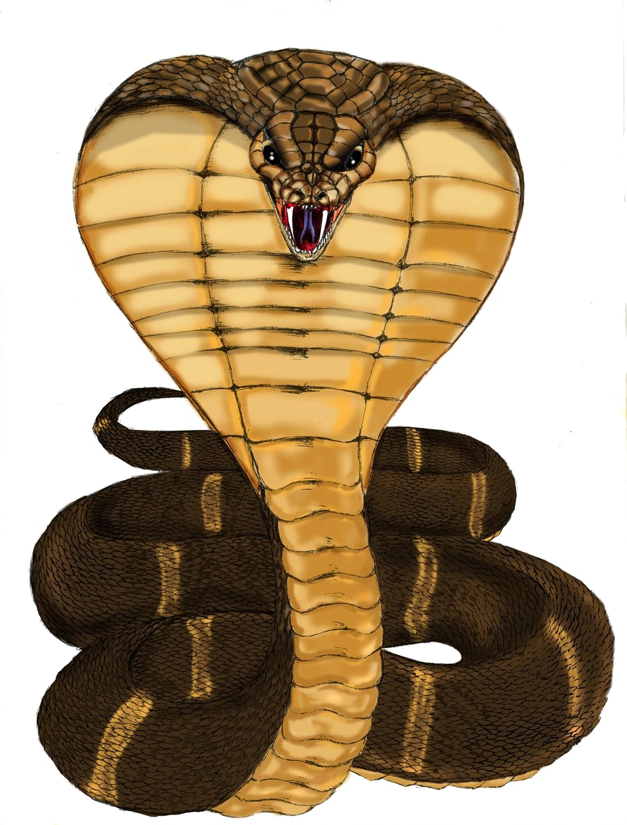 Raja Cobra transparan PNG