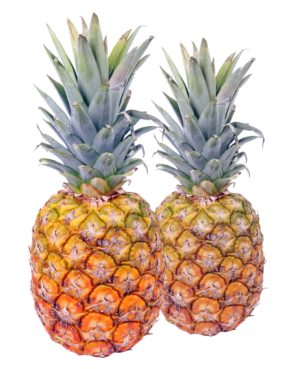 King Pineapple PNG