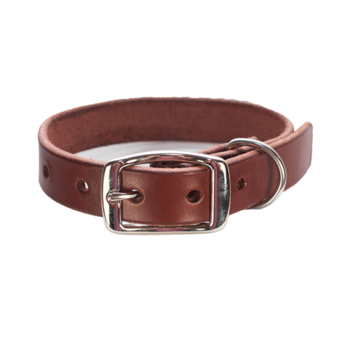 Leather Brown Dog Collar Transparent PNG