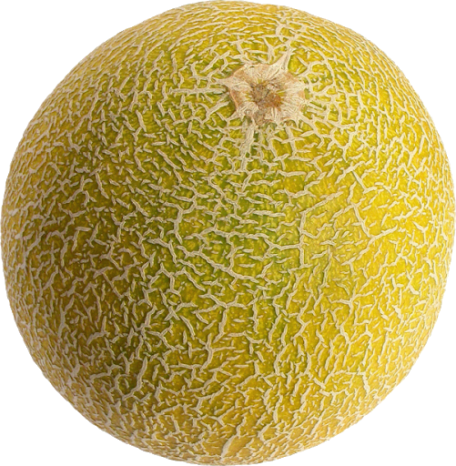 Melon Tropical PNG