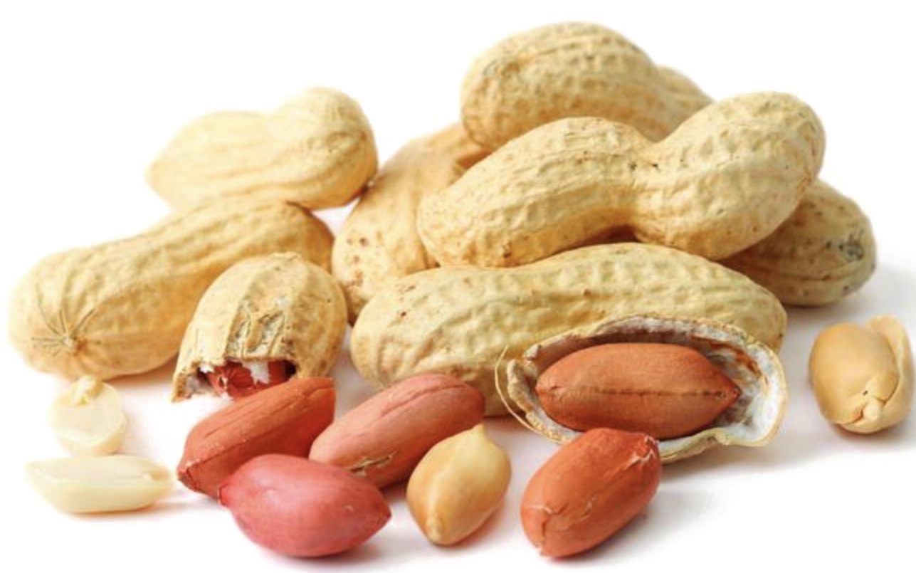 Natural Peanut PNG