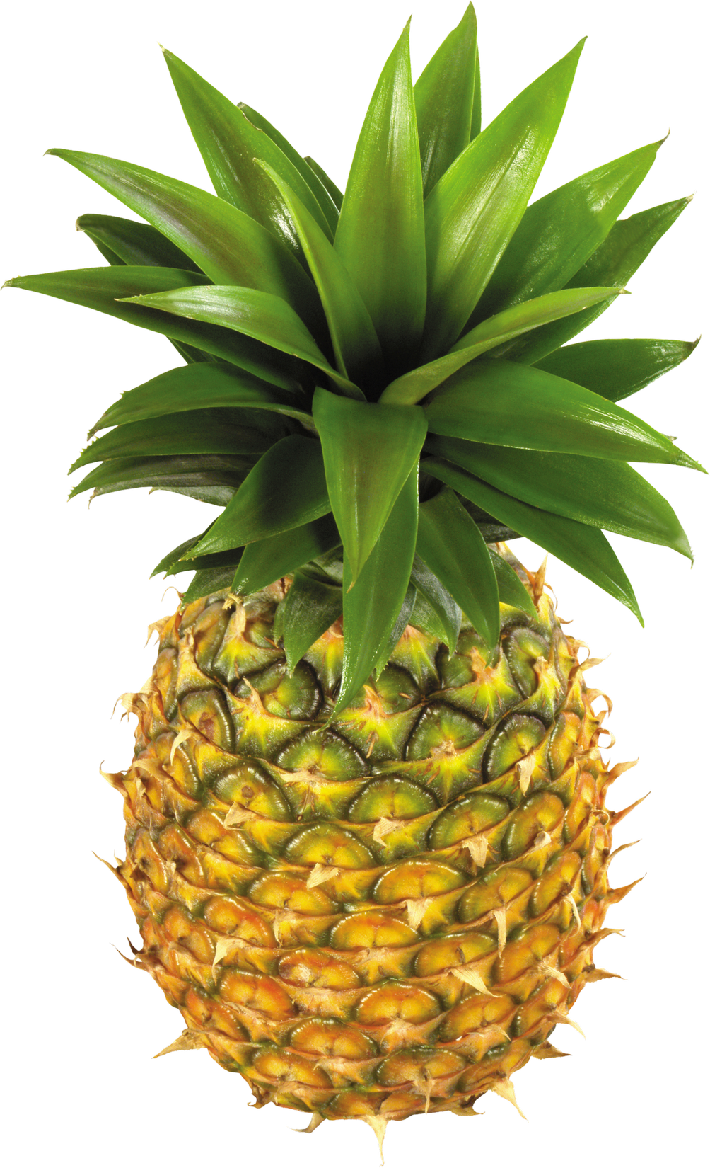 Natural Pineapple PNG