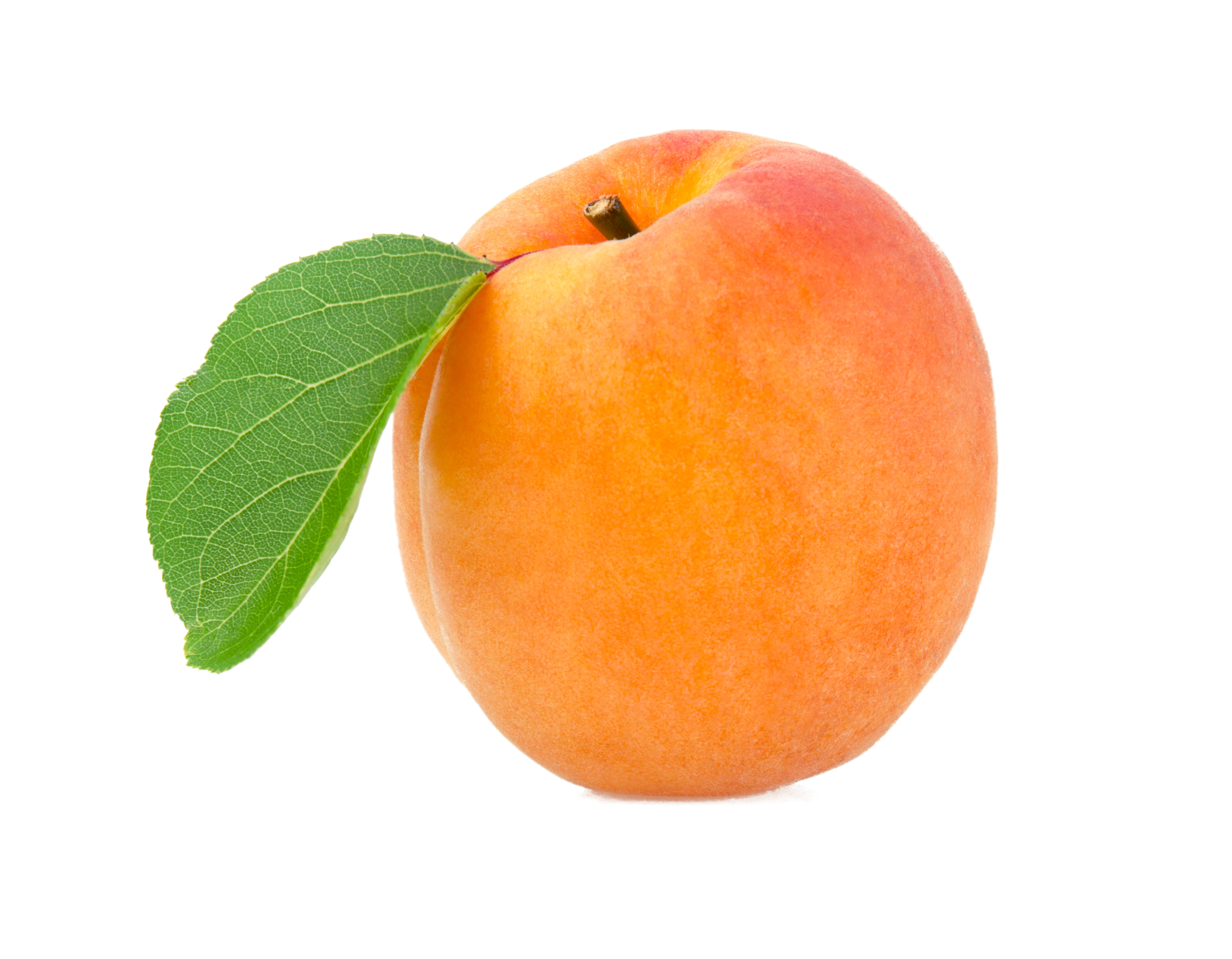 Orange Apricot PNG