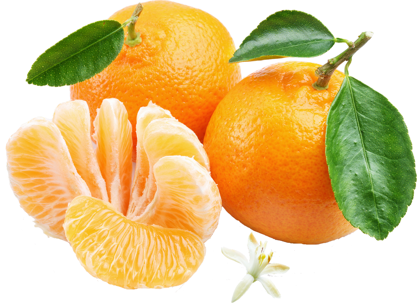 Orange Mandarin PNG