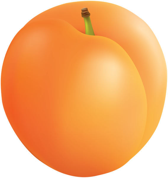 Orange Shining Raw Apricot Transparent PNG