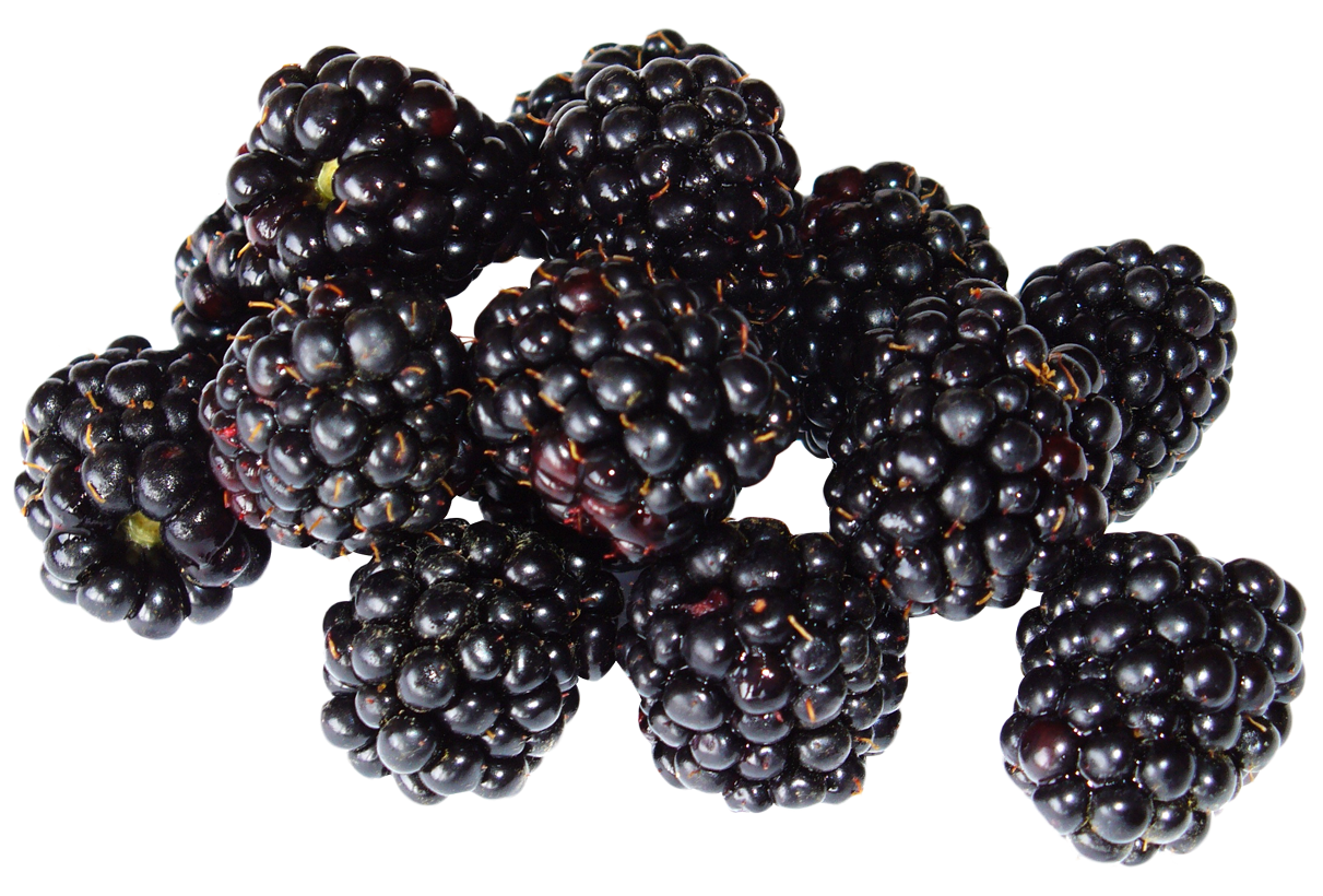 Organic Blackberry Fruit Background PNG Image