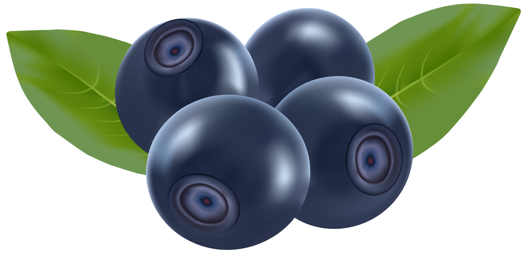 Organic Blueberries PNG