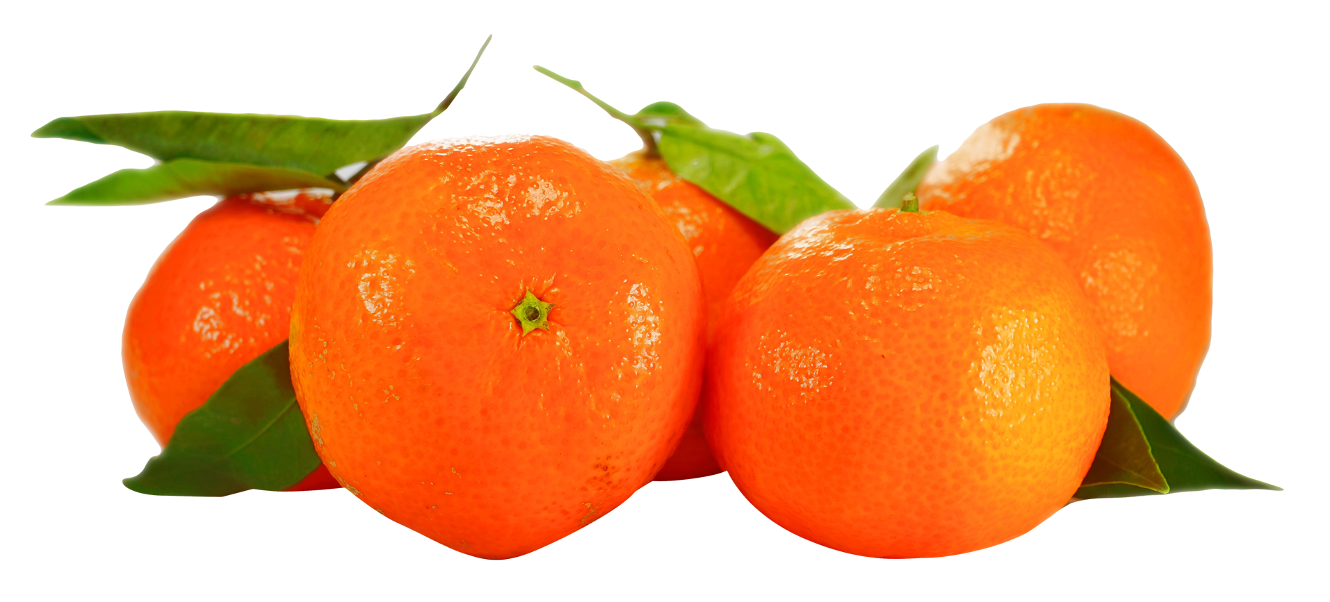 Organic Orange PNG