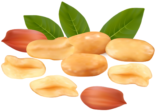 Peanut Pieces Transparent PNG