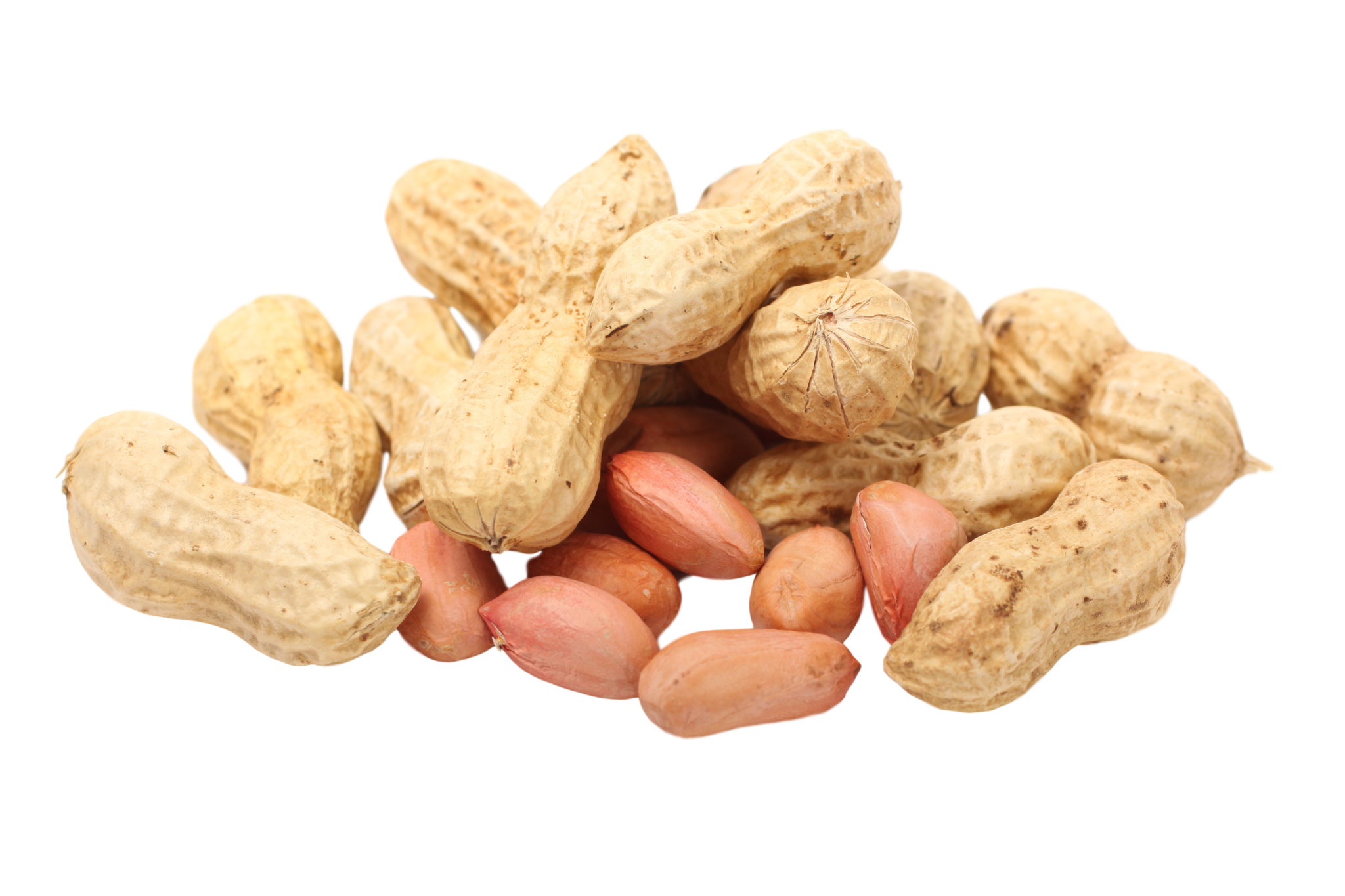 Peanut Stack PNG