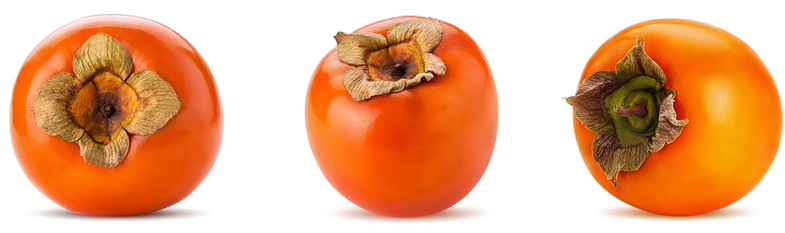 Persimmon Collection Transparent PNG