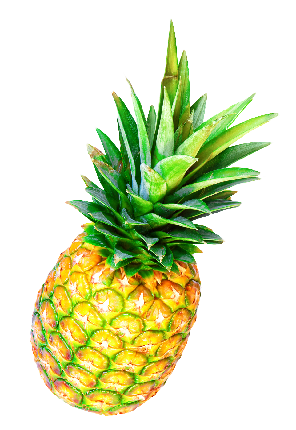 Pineapple Clipart PNG