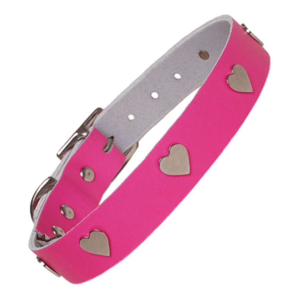 Pink Dog Collar Transparent PNG