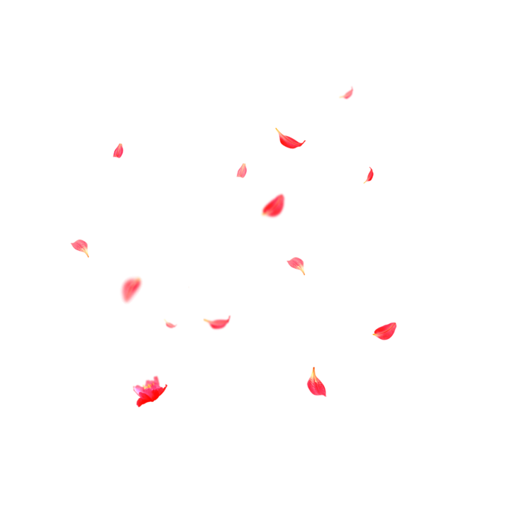 Pink Flower Petals PNG HD Quality