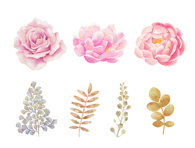 Pink Flowers Transparent Free PNG