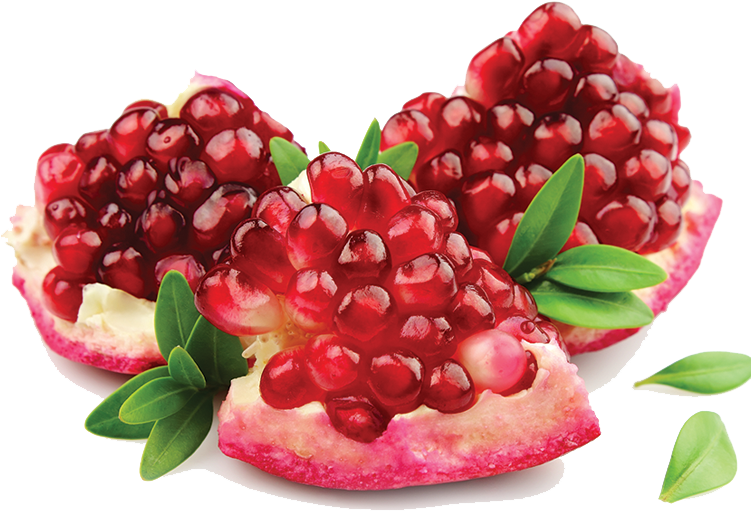 Pomegranate Seeds View PNG