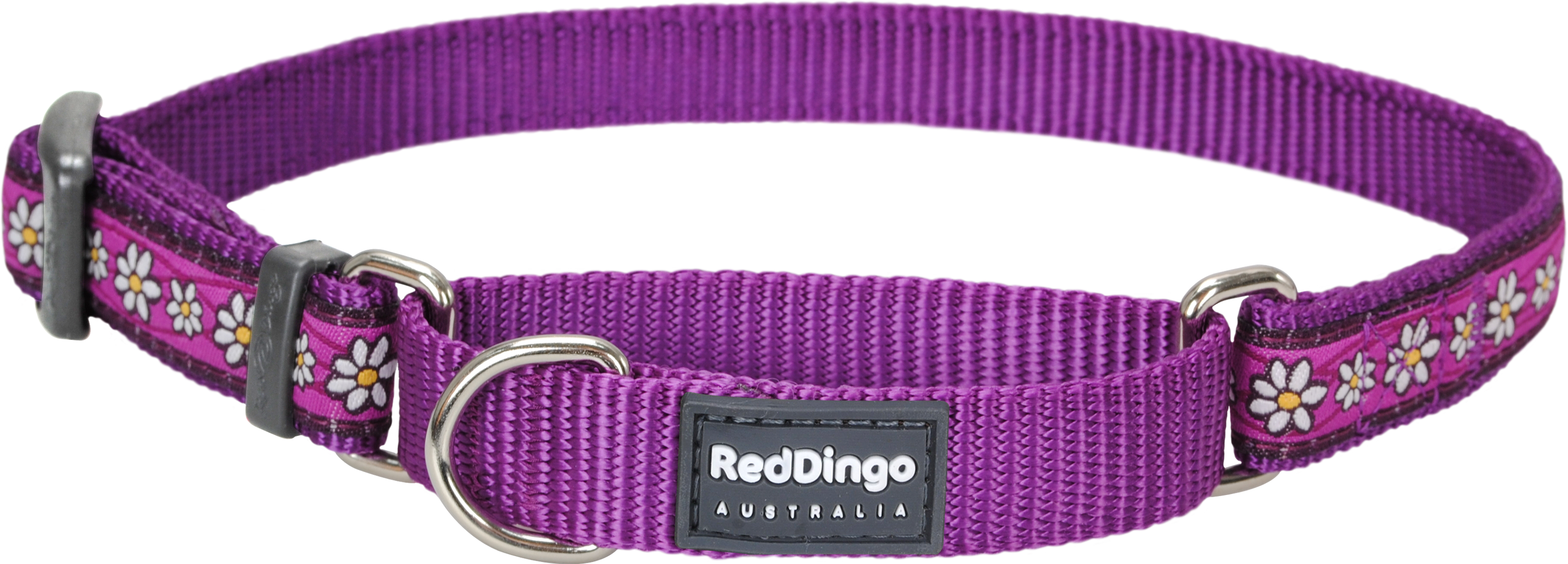 Purple Dog Collar Transparent PNG