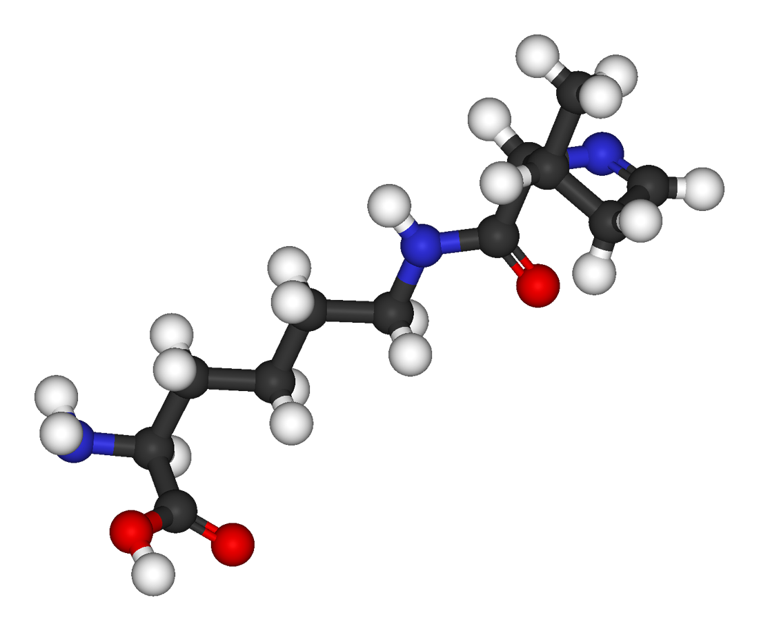Pyrrolysine Amino Acid PNG