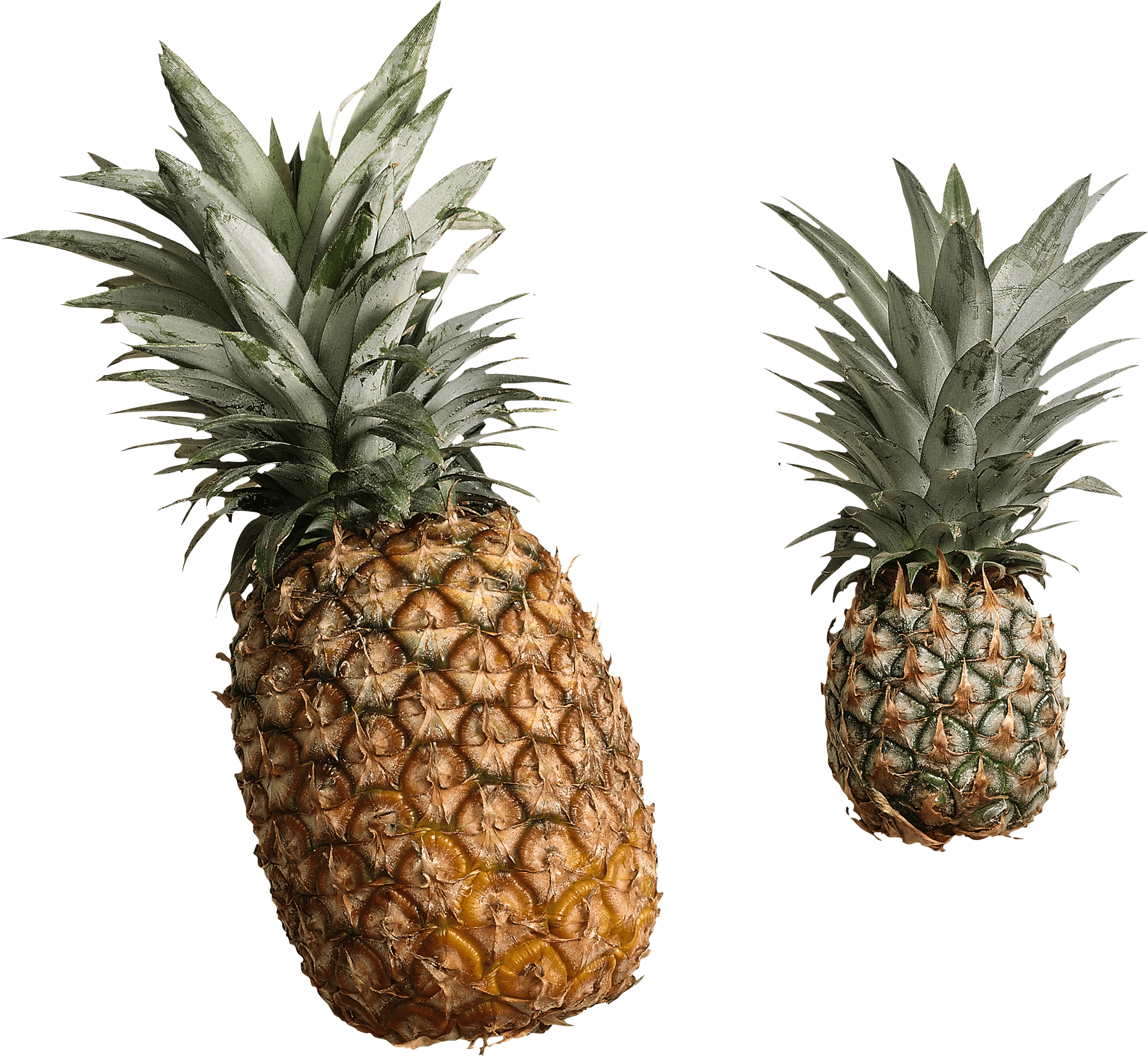 Queen Pineapple PNG