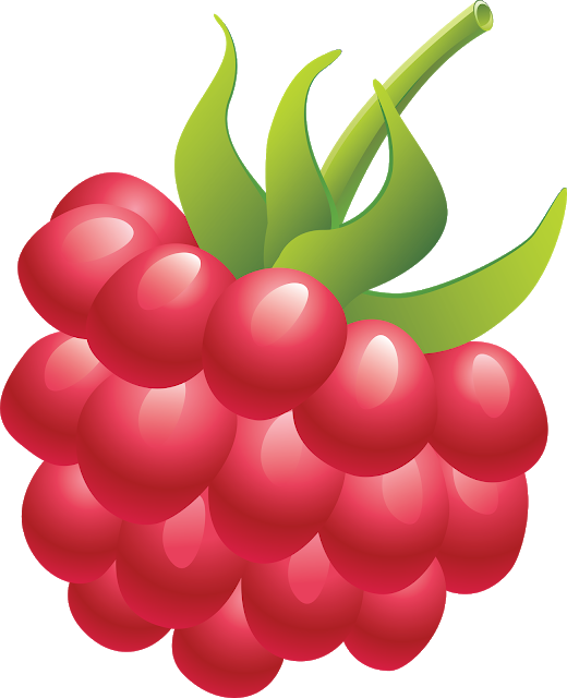 Raspberry Vector Transparent PNG