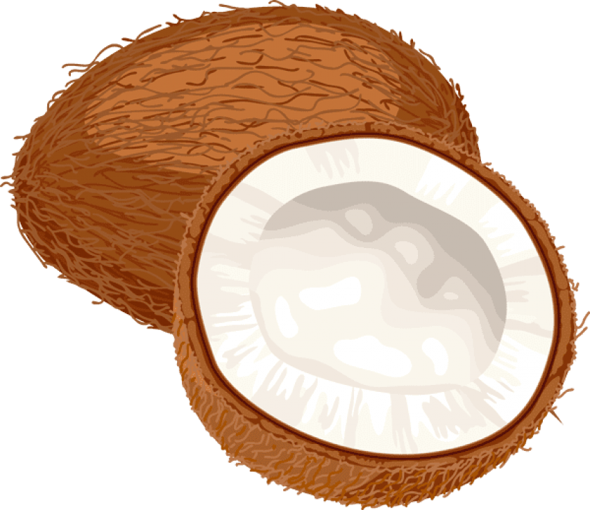 Raw Coconut PNG