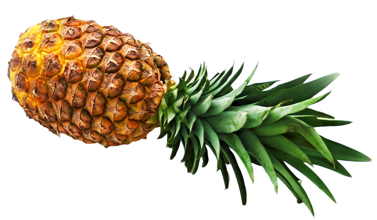 Raw Pineapple PNG