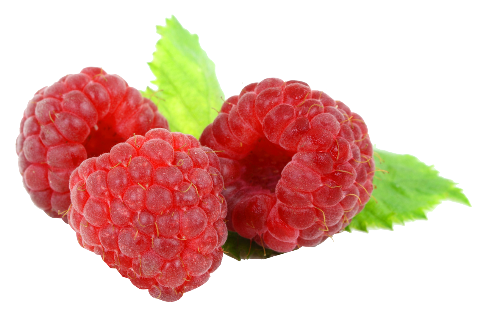 Raw Raspberry PNG