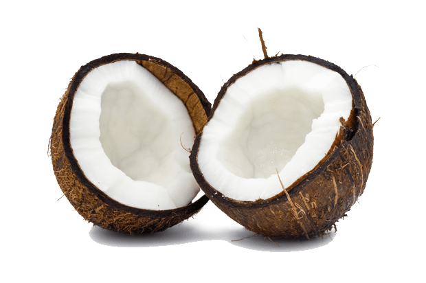 Raw Sliced Coconut Transparent PNG