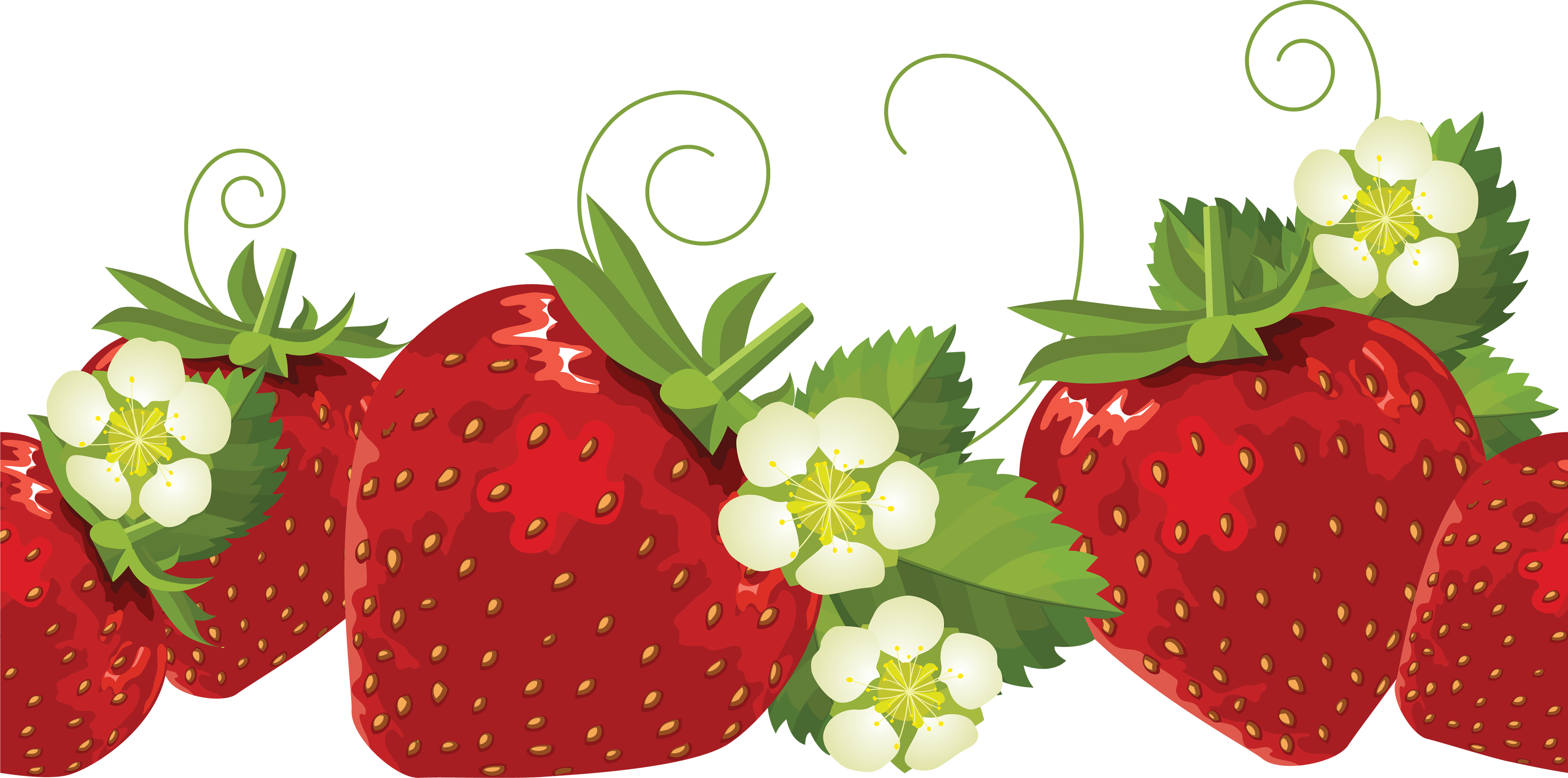 Raw Strawberry PNG