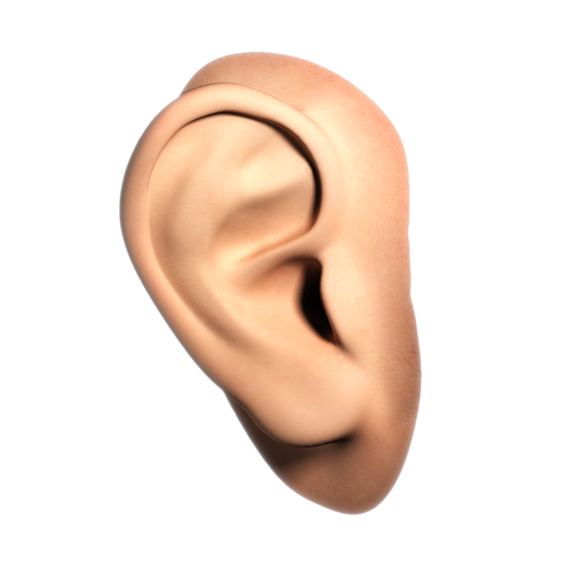 Real Ear Background PNG Image