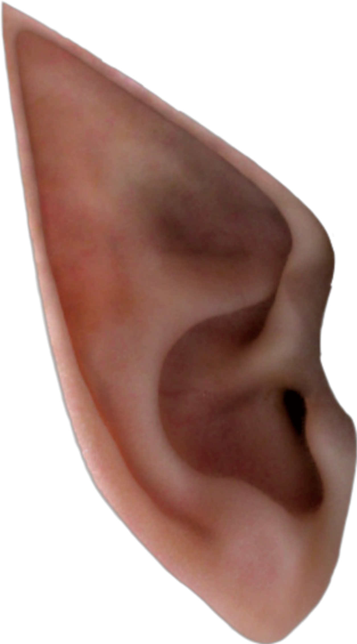 Real Ear PNG Clipart Background