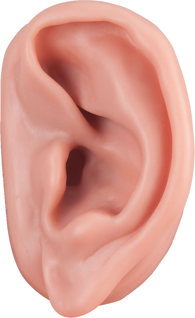 Real Ear PNG HD Quality