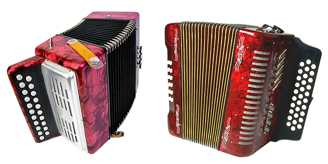 Red Accordion PNG Free File Download
