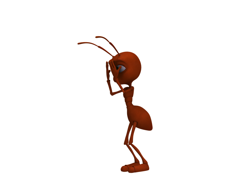 Red Ant Download Free PNG