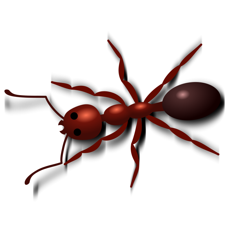 Red Ant Transparent Image