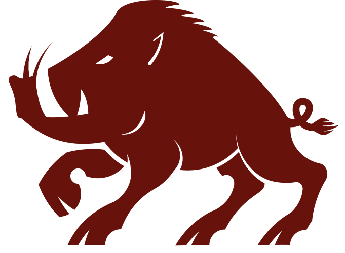 Red Boar Icon Transparent PNG