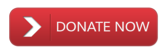 Red Donate Button Transparent PNG